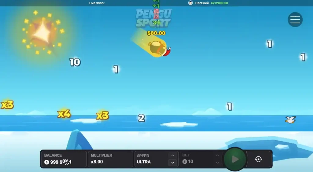 Pengu sport